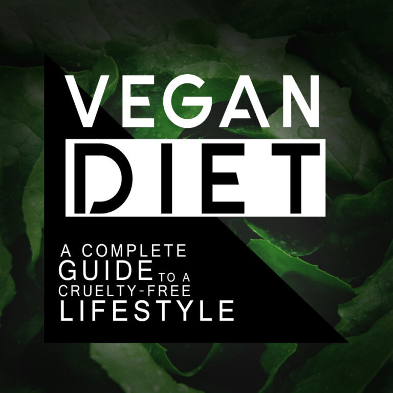 Vegan diet meal plan, Vegan diet foods, Vegan diet for beginners, Vegan diet b12, Vegan diet types, Vegan diet iron, Vegan diet benefits, vegan diet diabete S, vegan diet is it healthy, vegan diet vitamin b12, vegan diet with protein, vegan dlet for diabete S, vegan dlet what to eat, vegan diet health benefits, vegan diet to gain weight, vegan diet recipes, vegan diet health benefits, Vegan diet omega 3, vegan diet protein, vegan diet healthier, vegan diet vitamin deficiencies, vegan diet deficiency, vegan diet plan for , vegan diet iron deficiency, vegan diet side effects, vegan diet cons, vegan diet dishes,